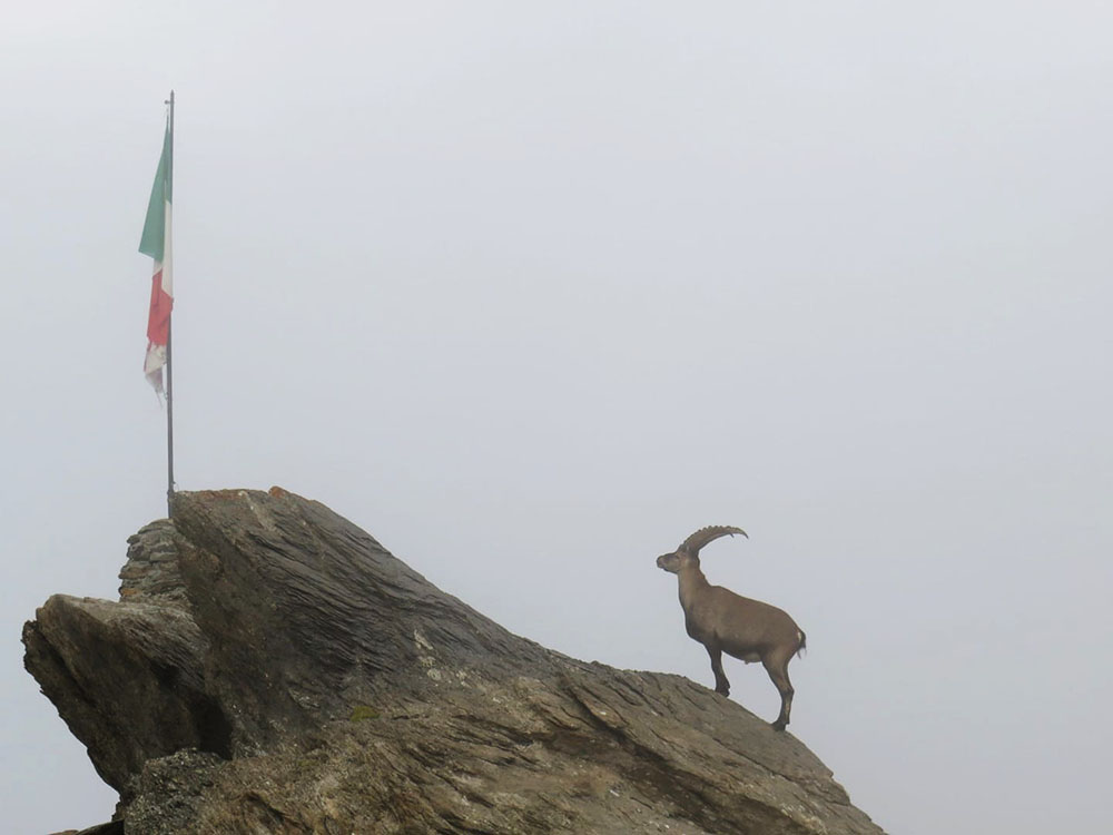 18 agosto 2020. Isabella Pannunzio, Momenti di raccoglimento al Rifugio Vaccarone.